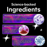OORA | APPETITE BALANCE